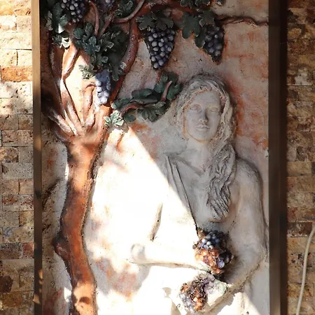 Tu Casa Linda ホテル 3*