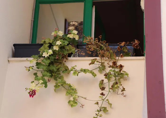 Hotel Tu Casa Linda 3*