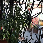 Отель Tu Casa Linda 3*