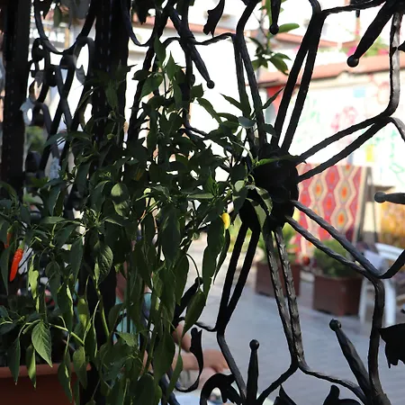 Szálloda Tu Casa Linda 3*