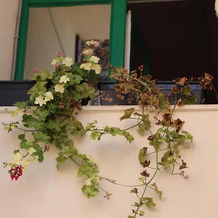 Отель Tu Casa Linda 3*